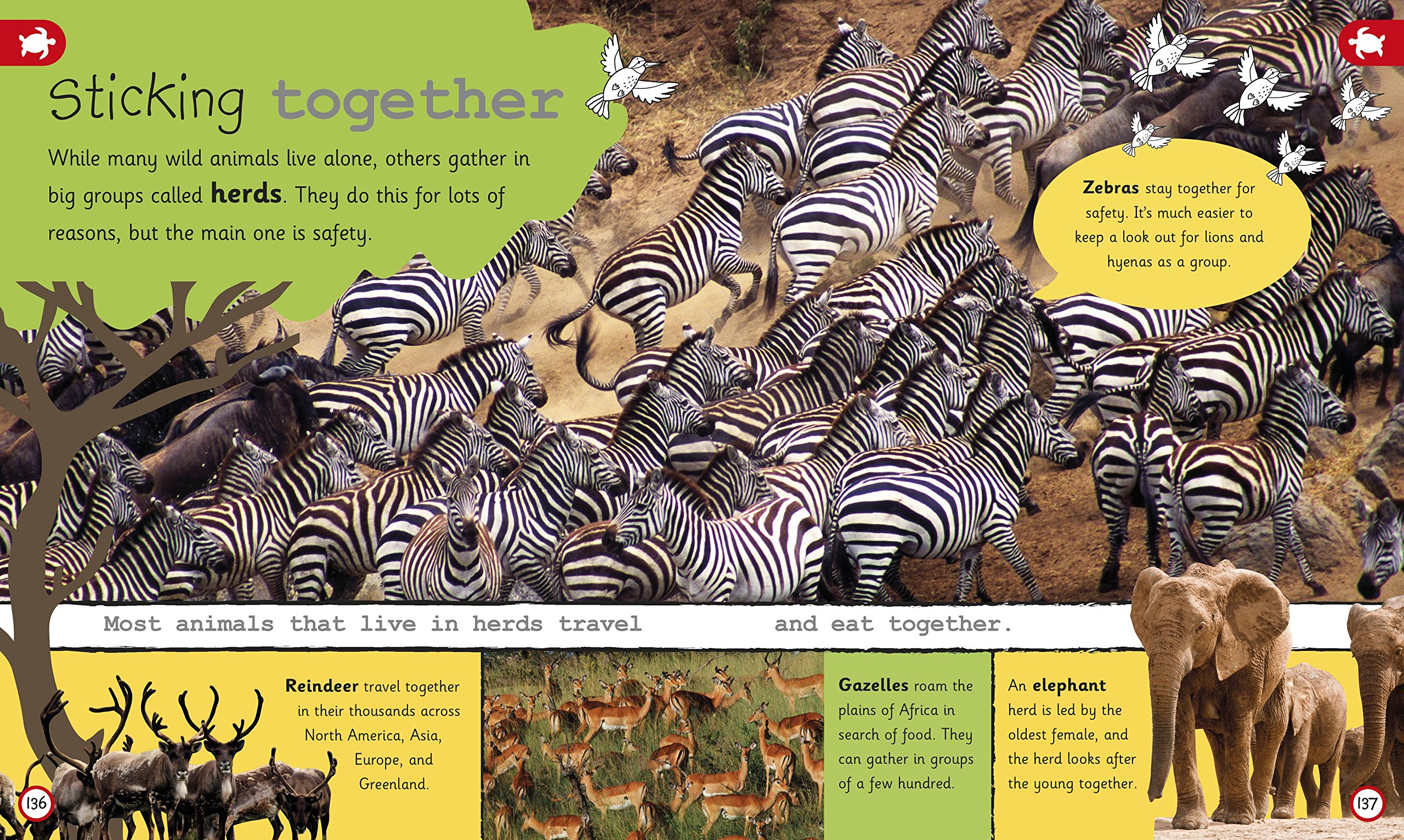 my encyclopedia of very important animals: for little animal lovers who want to know everything (my very important encyclopedias) - Ảnh 5