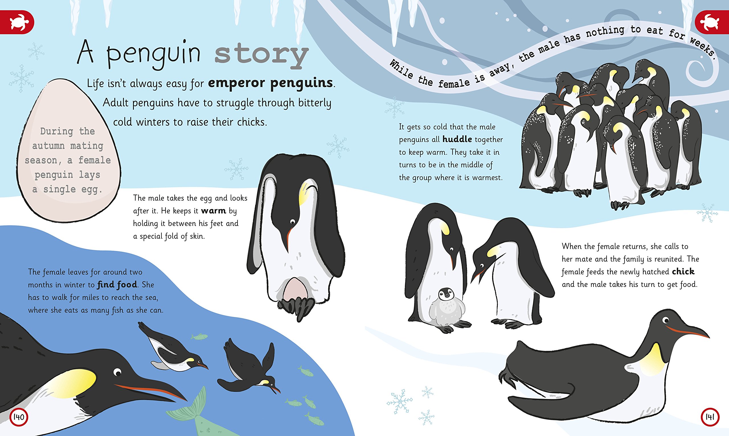 my encyclopedia of very important animals: for little animal lovers who want to know everything (my very important encyclopedias) - Ảnh 6