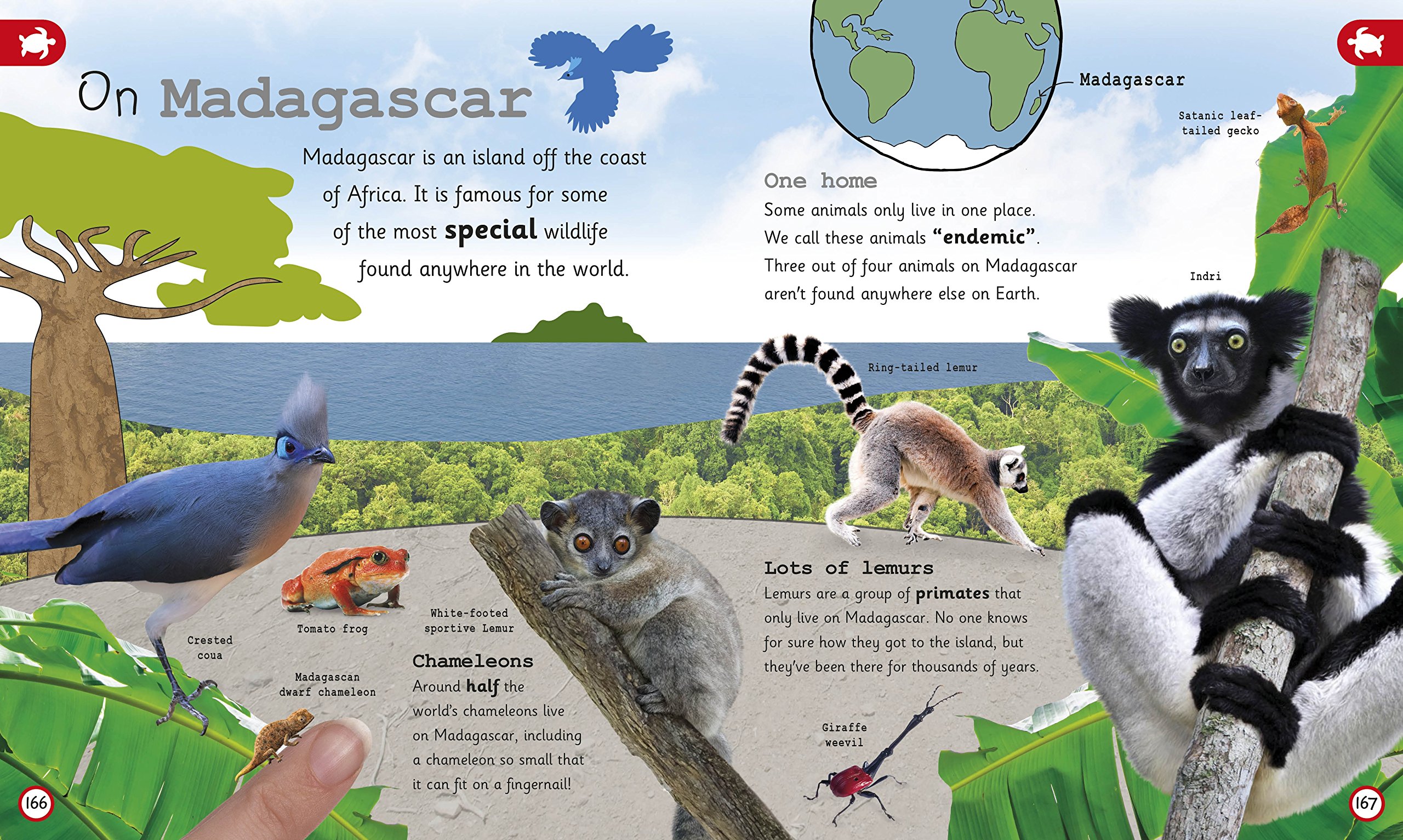 my encyclopedia of very important animals: for little animal lovers who want to know everything (my very important encyclopedias) - Ảnh 7