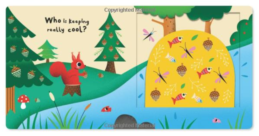 my favourite bear - Ảnh 4