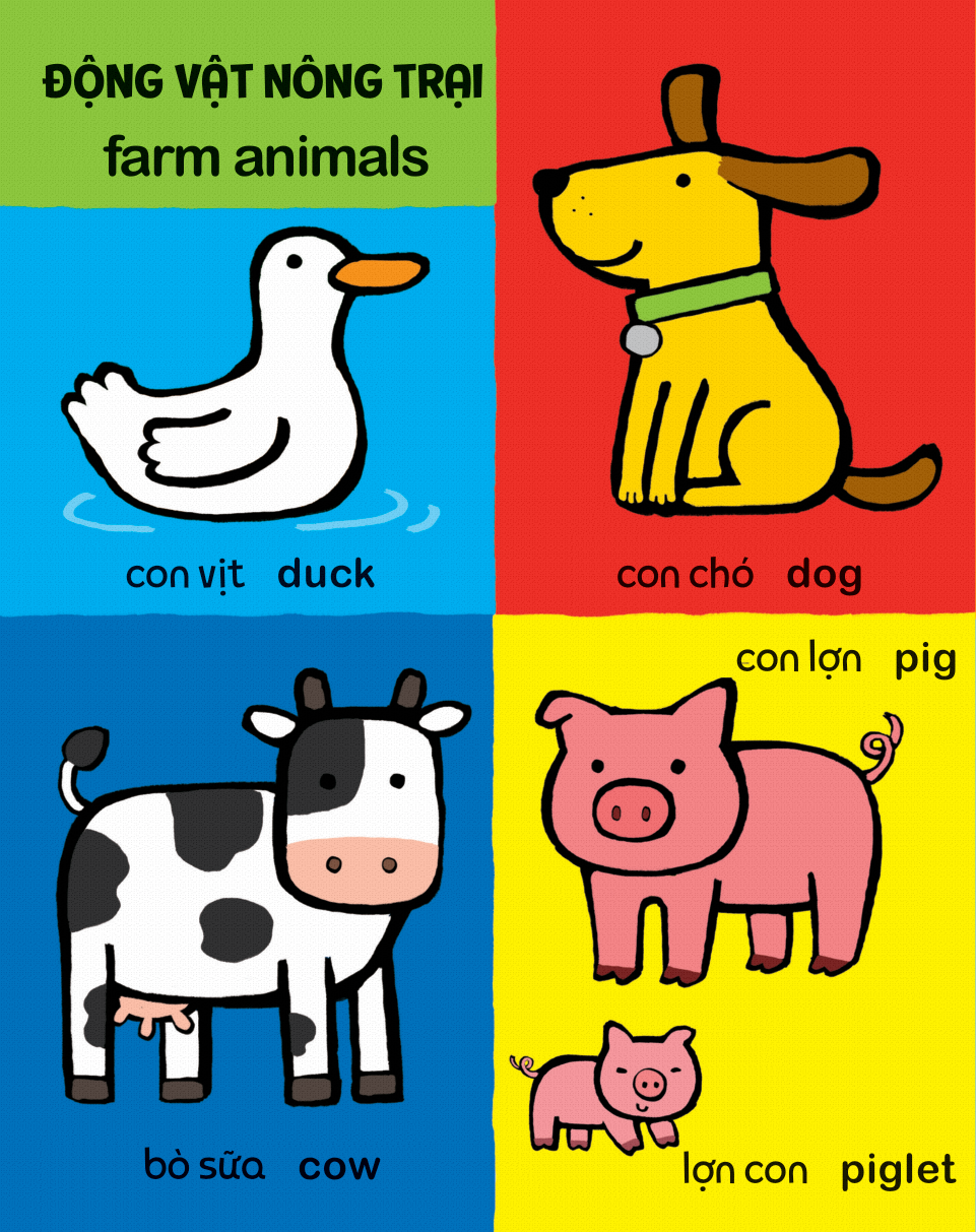 my first 100 animals - thế giới động vật - bìa cứng - Ảnh 2