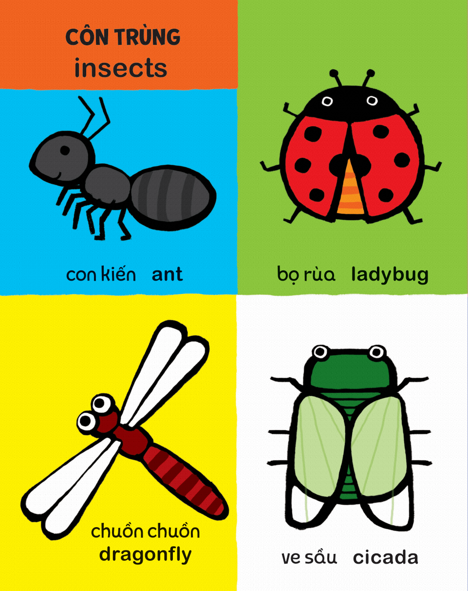 my first 100 animals - thế giới động vật - bìa cứng - Ảnh 5