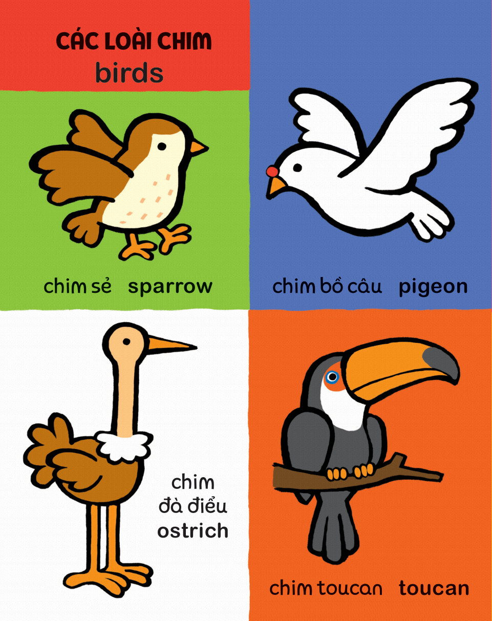 my first 100 animals - thế giới động vật - bìa cứng - Ảnh 6