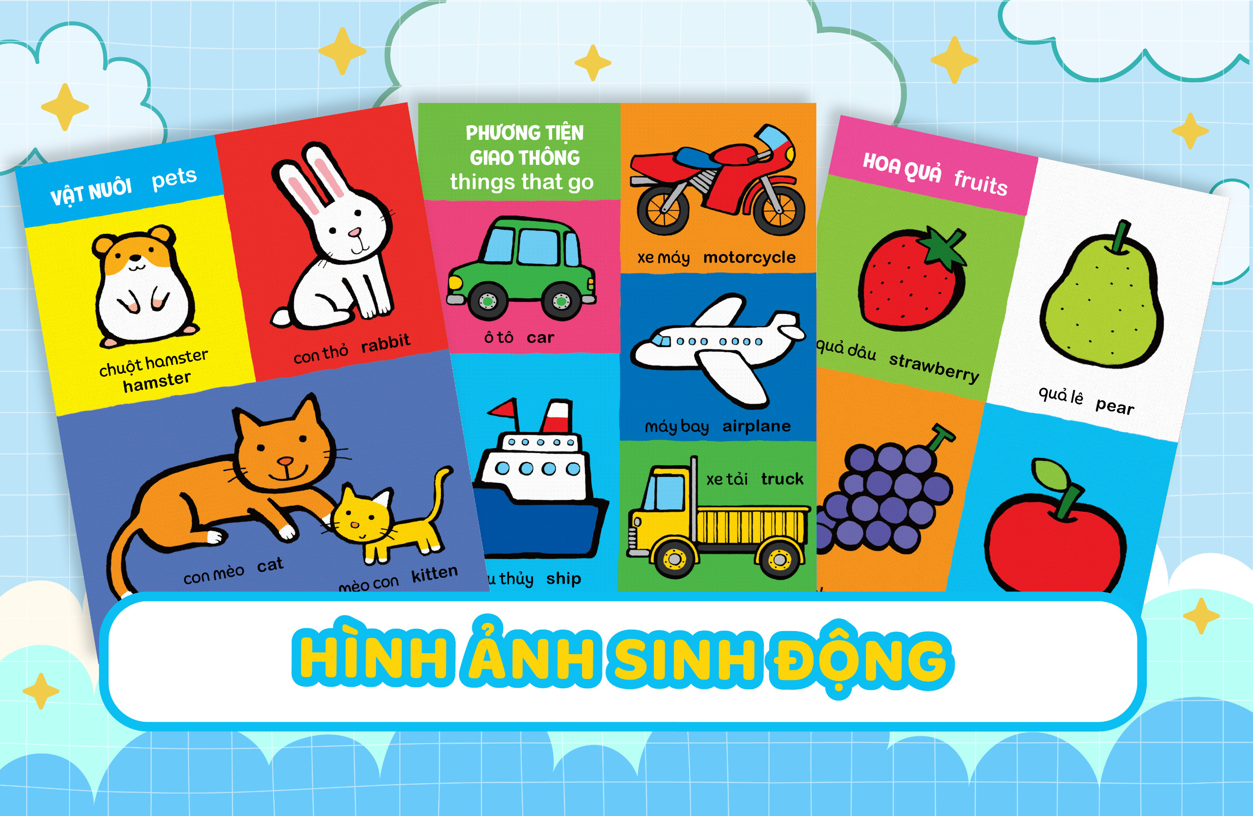 my first 100 words - thế giới muôn màu - bìa cứng - Ảnh 5