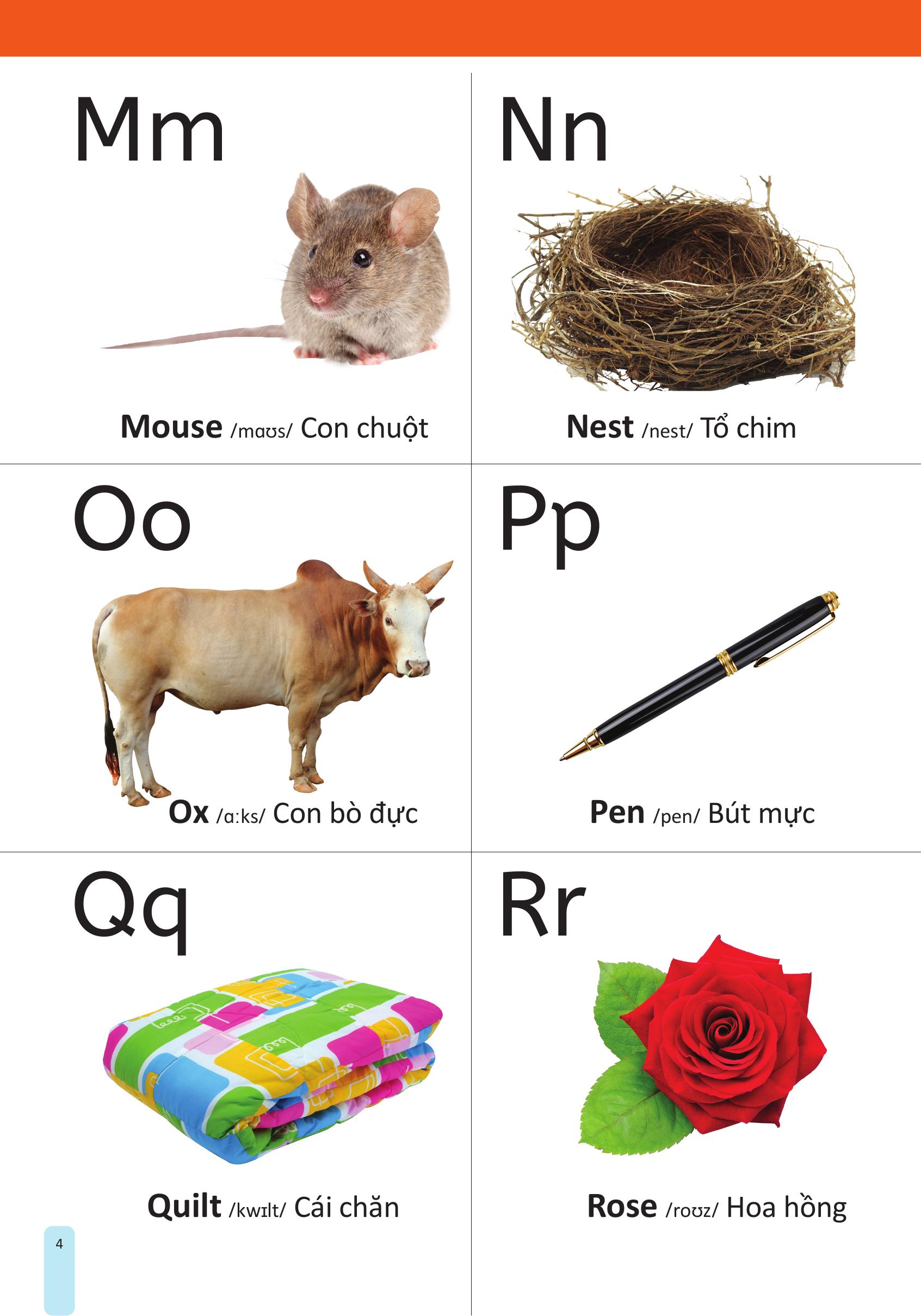 my first 1000 words - 1000 từ vựng tiếng anh đầu tiên cho trẻ - bìa cứng - Ảnh 5