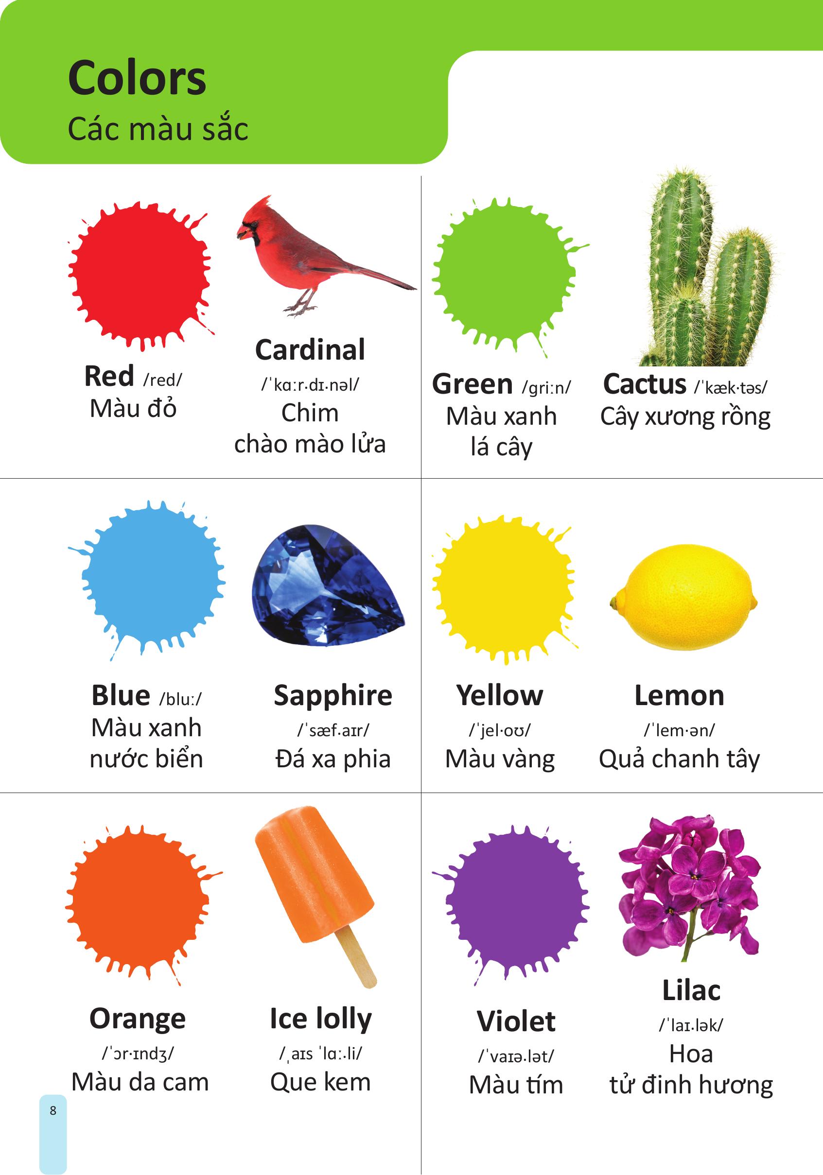 my first 1000 words - 1000 từ vựng tiếng anh đầu tiên cho trẻ - bìa cứng - Ảnh 9