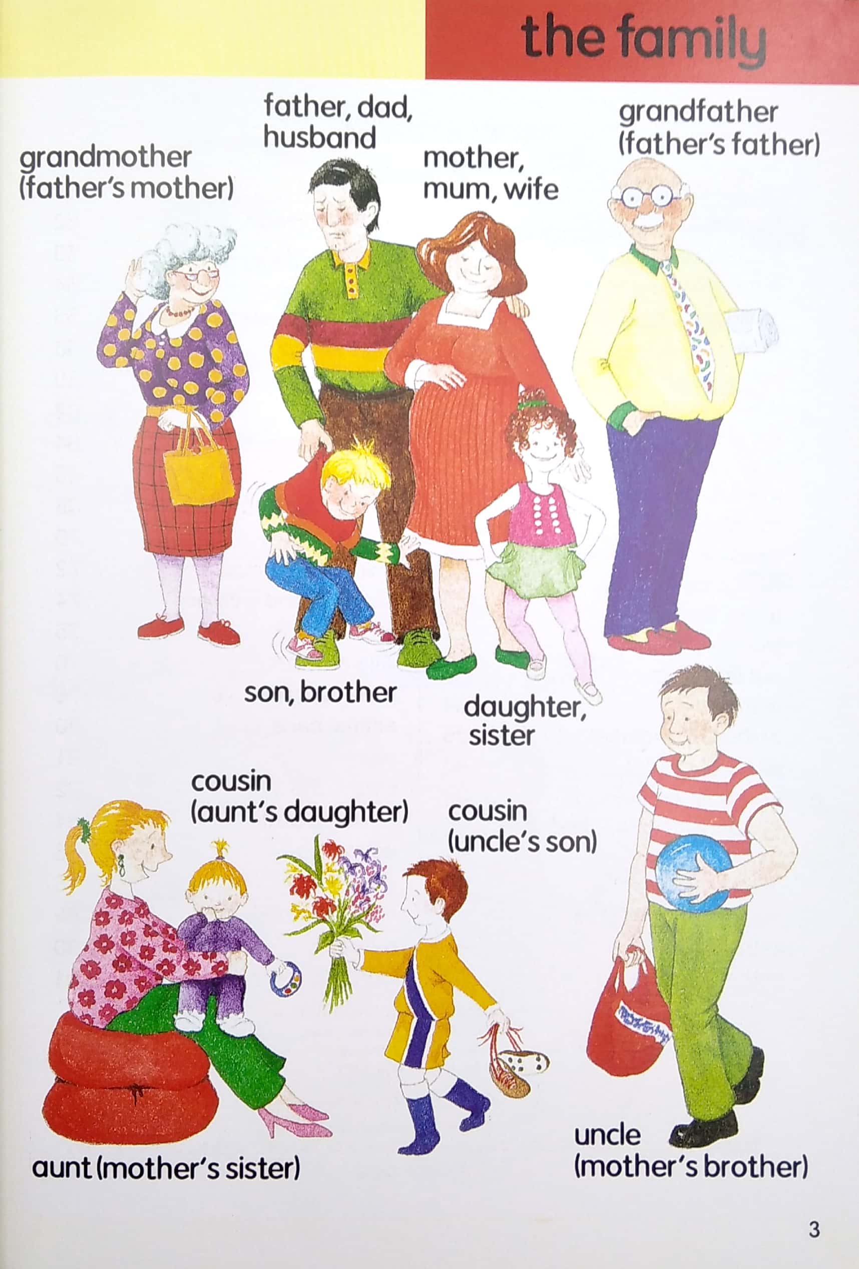 my first 1000 words - Ảnh 5