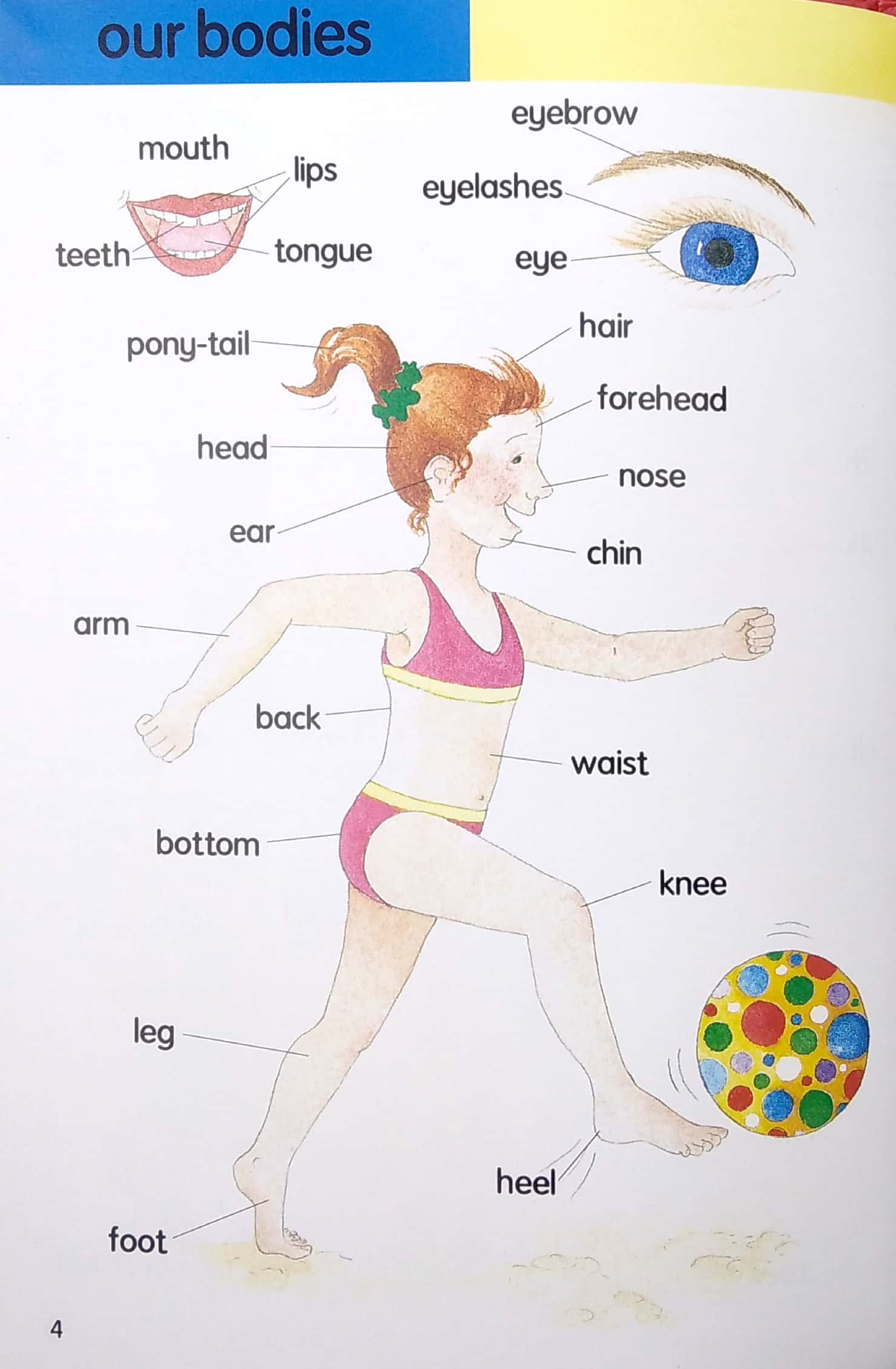 my first 1000 words - Ảnh 6