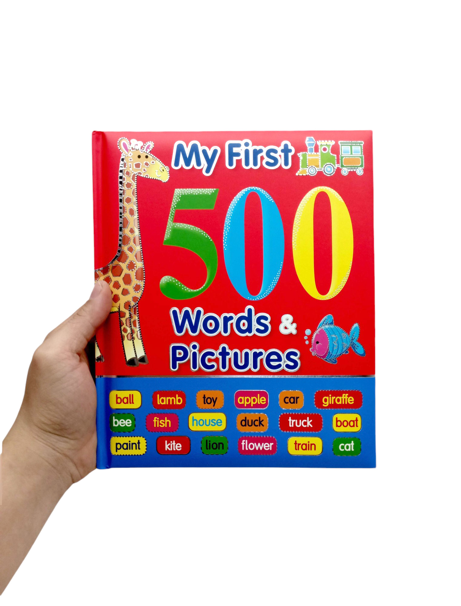 my first 500 words and pictures - Ảnh 7