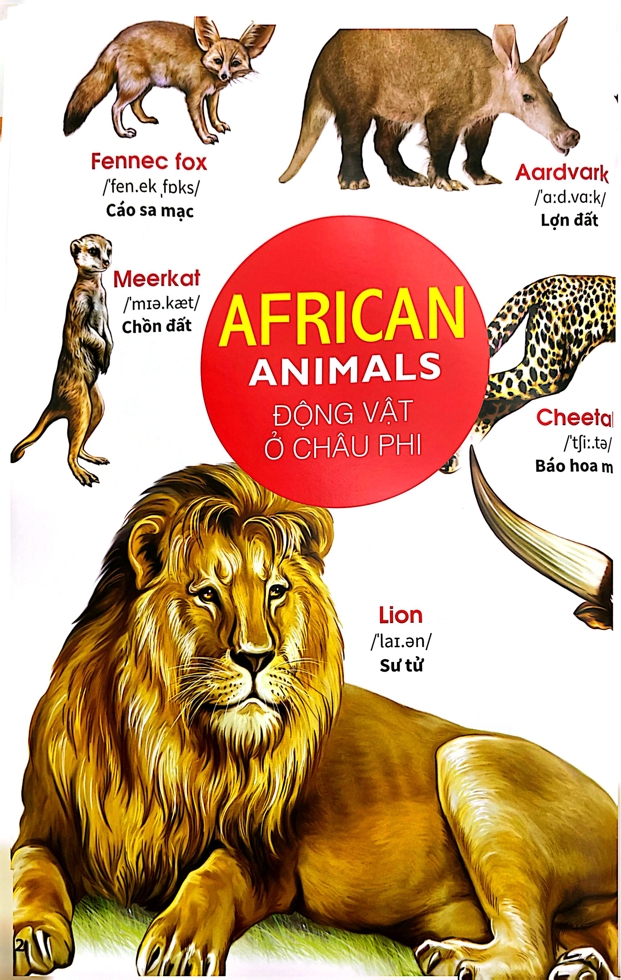 My First Book Of Animals - Thế Giới Động Vật - Ảnh 4