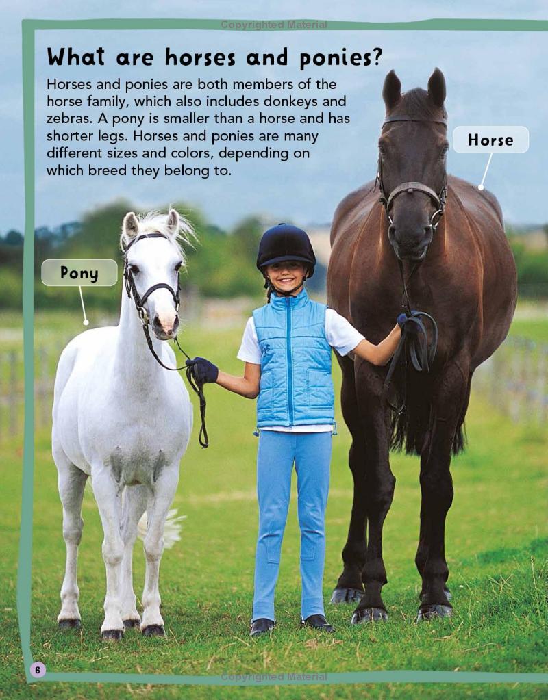 my first horse and pony book - Ảnh 8