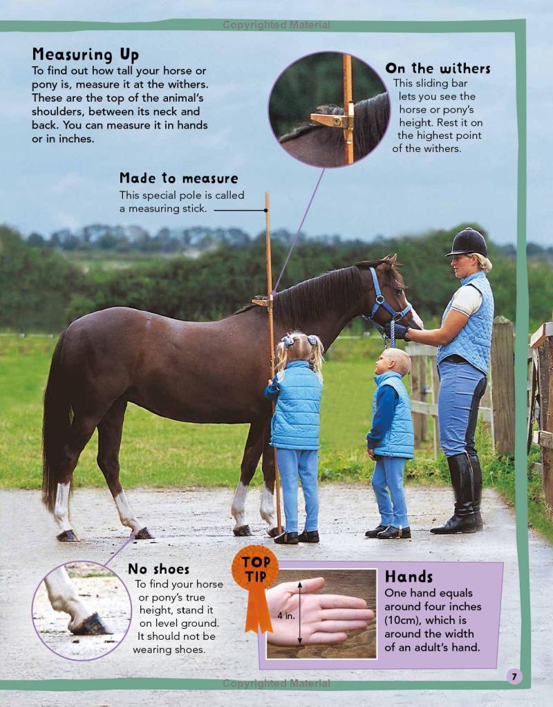 my first horse and pony book - Ảnh 9