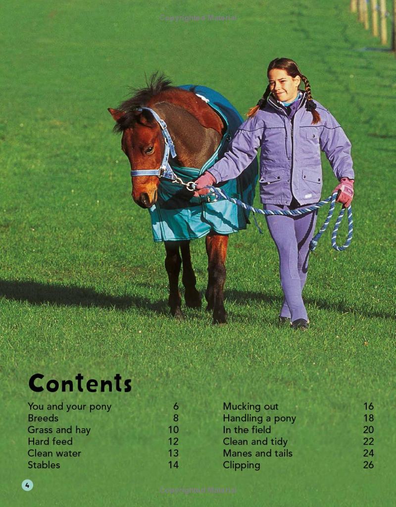 my first horse and pony care book - Ảnh 6
