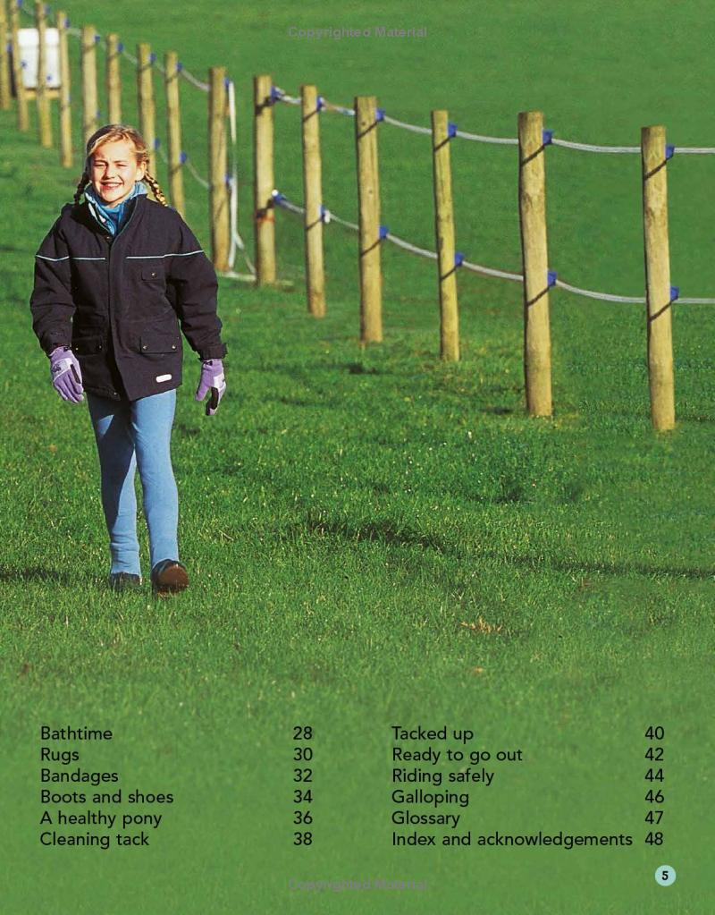 my first horse and pony care book - Ảnh 7