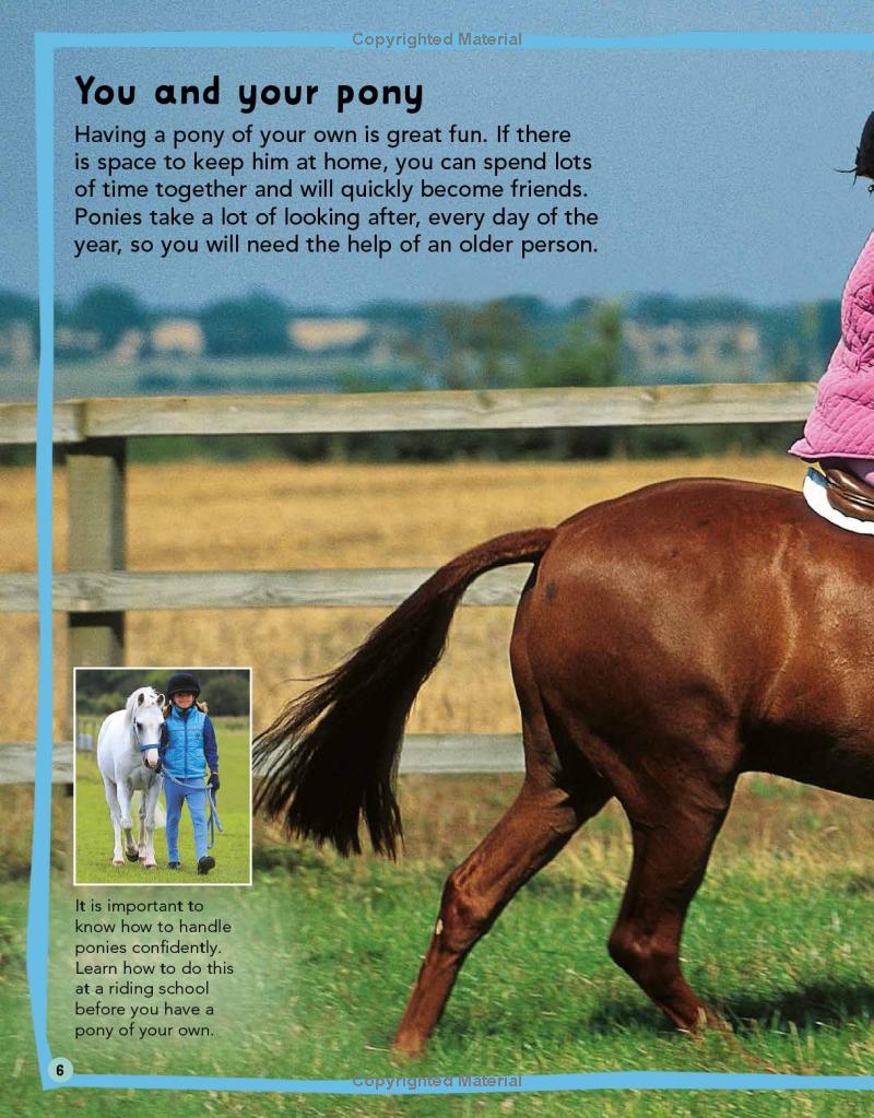 my first horse and pony care book - Ảnh 8