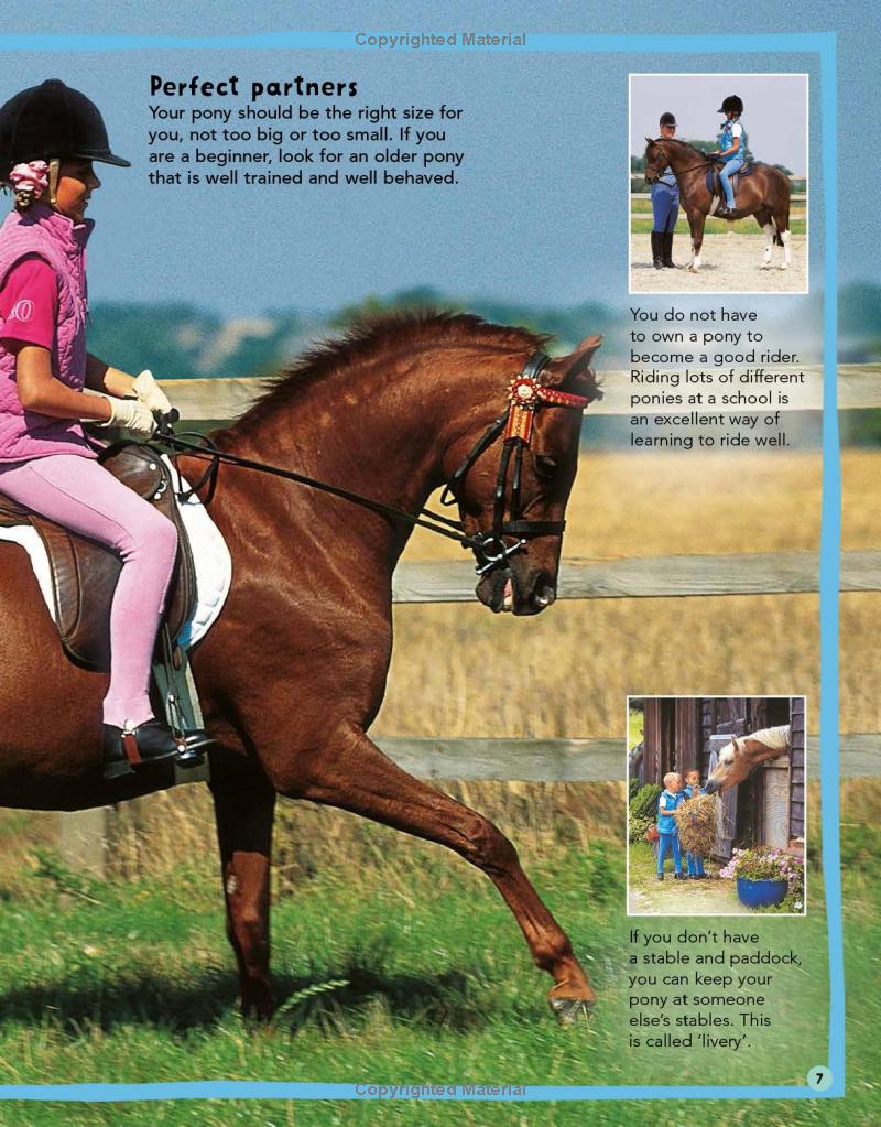 my first horse and pony care book - Ảnh 9