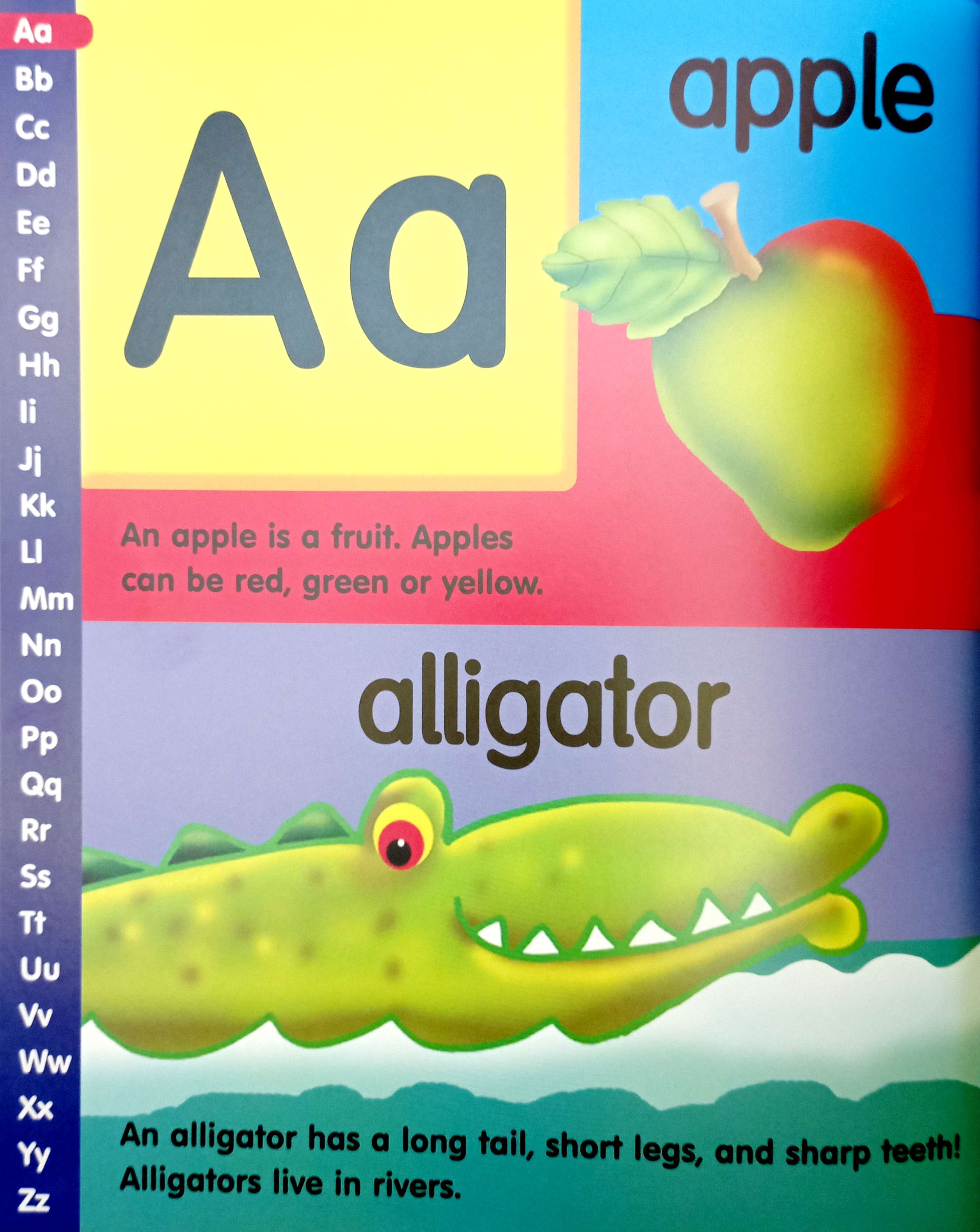 my first picture dictionary - Ảnh 3