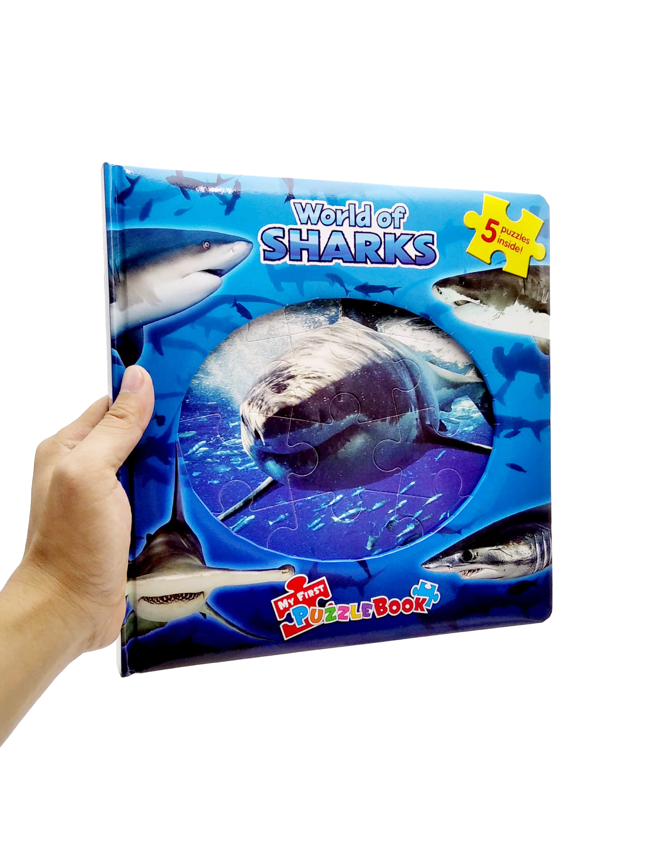 my first puzzle book: sharks - Ảnh 7