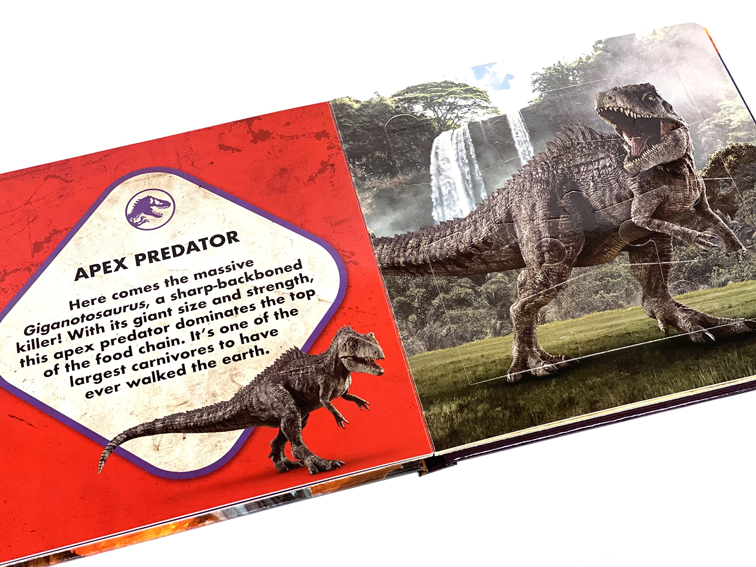 my first puzzle book: universal jurassic world - Ảnh 4