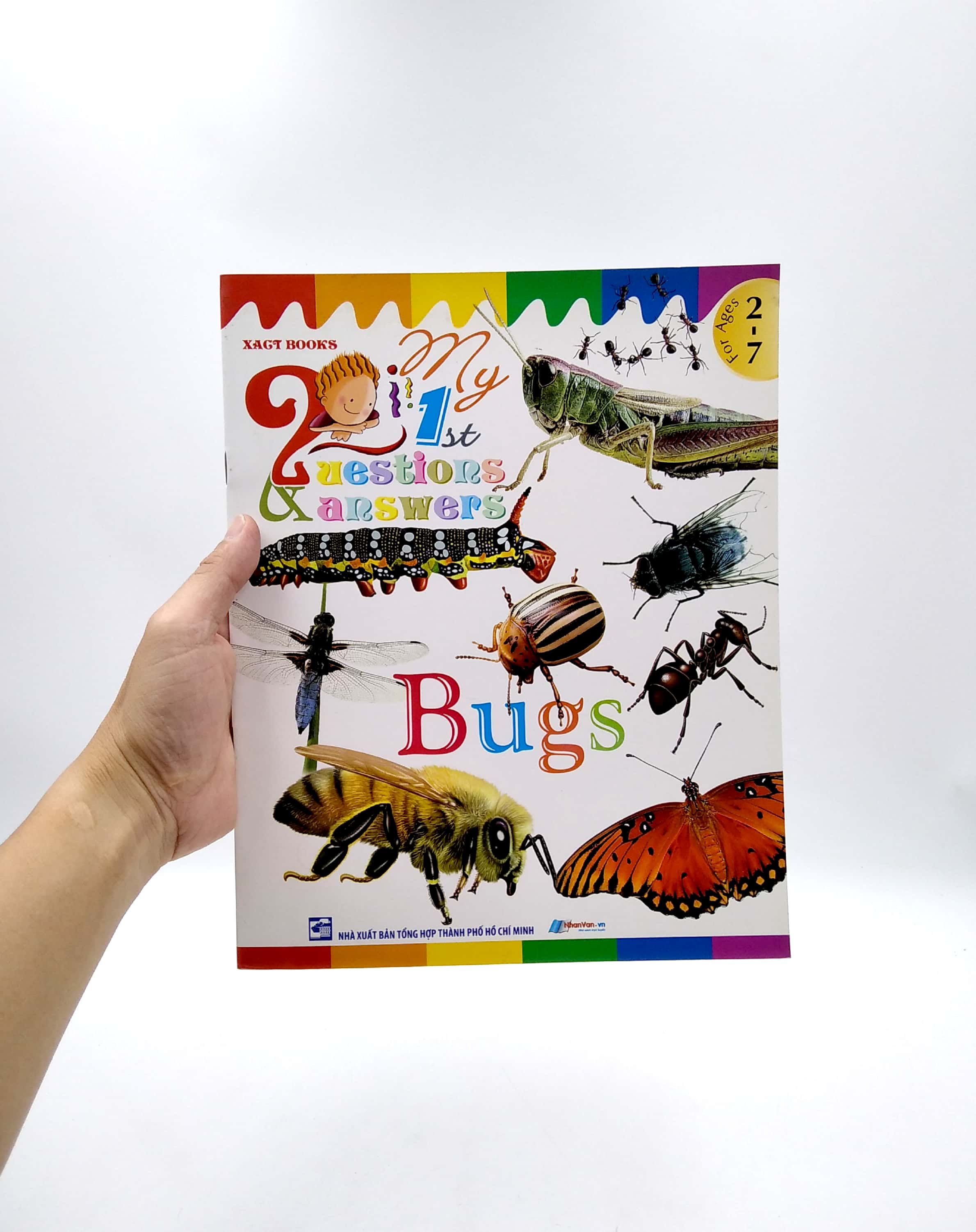 my first questions & answers - bugs - Ảnh 2