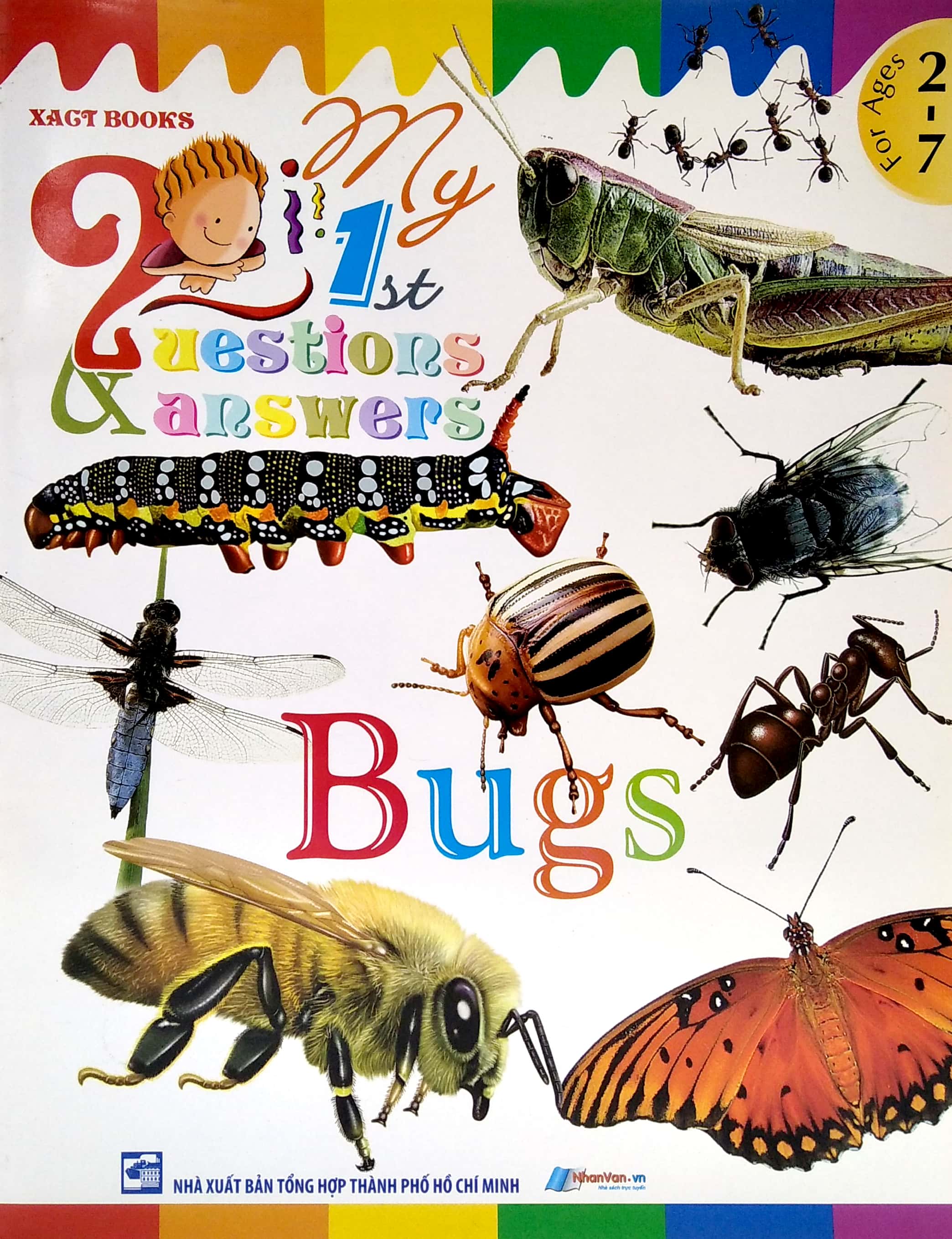 my first questions & answers - bugs - Ảnh 3