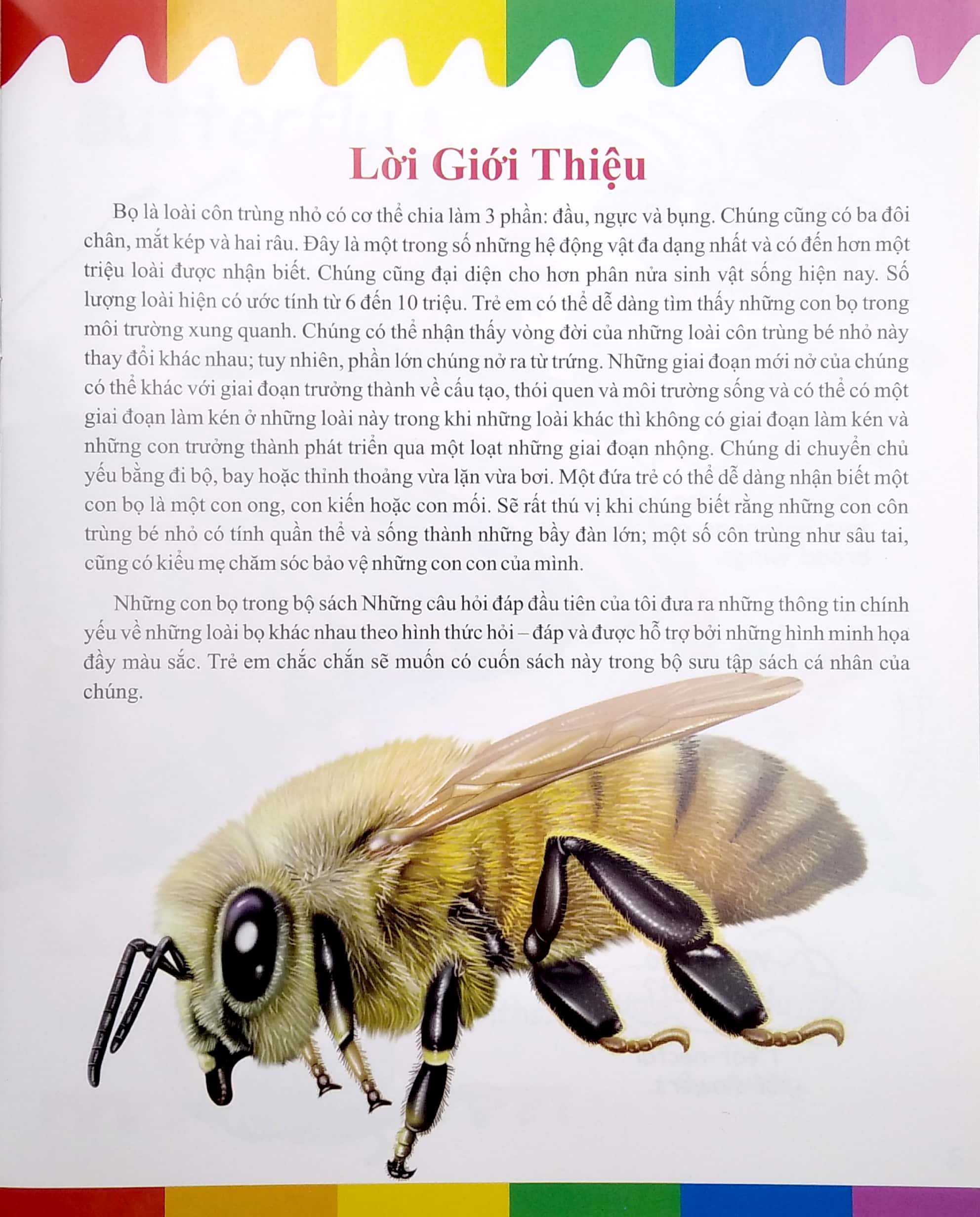 my first questions & answers - bugs - Ảnh 5