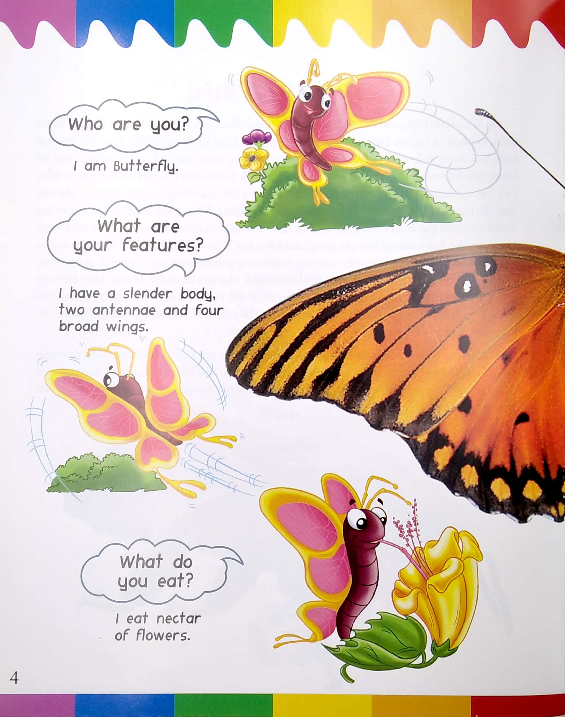 my first questions & answers - bugs - Ảnh 6