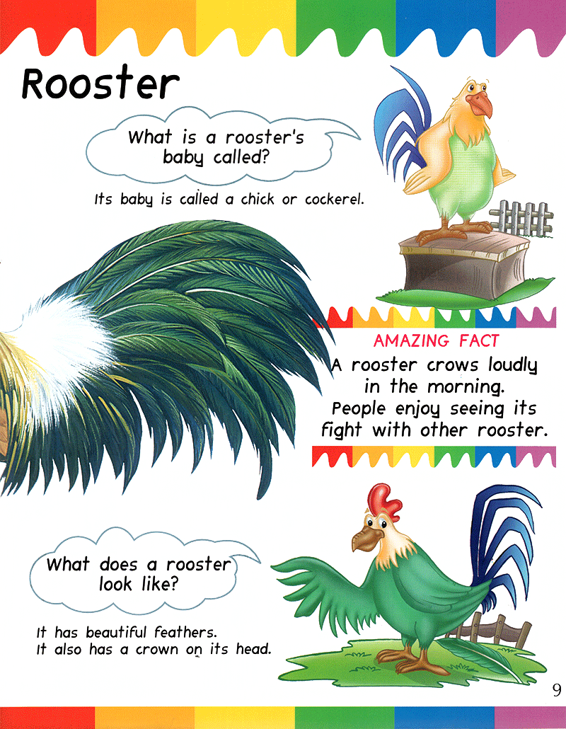 my first questions & answers - farm animals - Ảnh 10