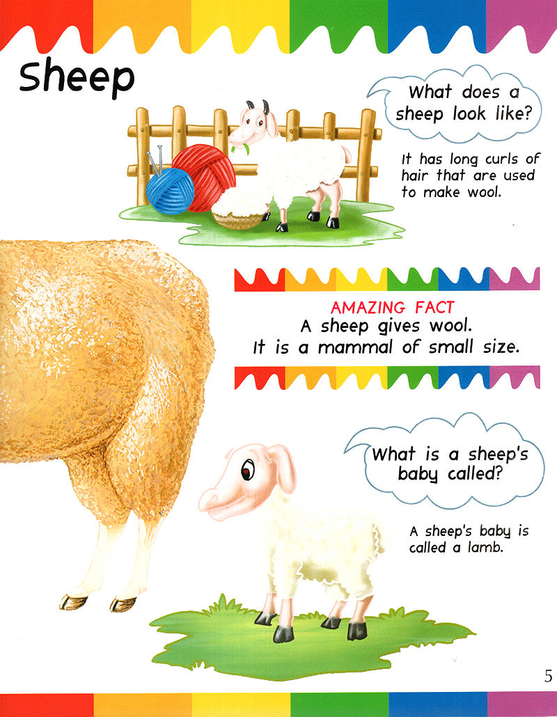 my first questions & answers - farm animals - Ảnh 14