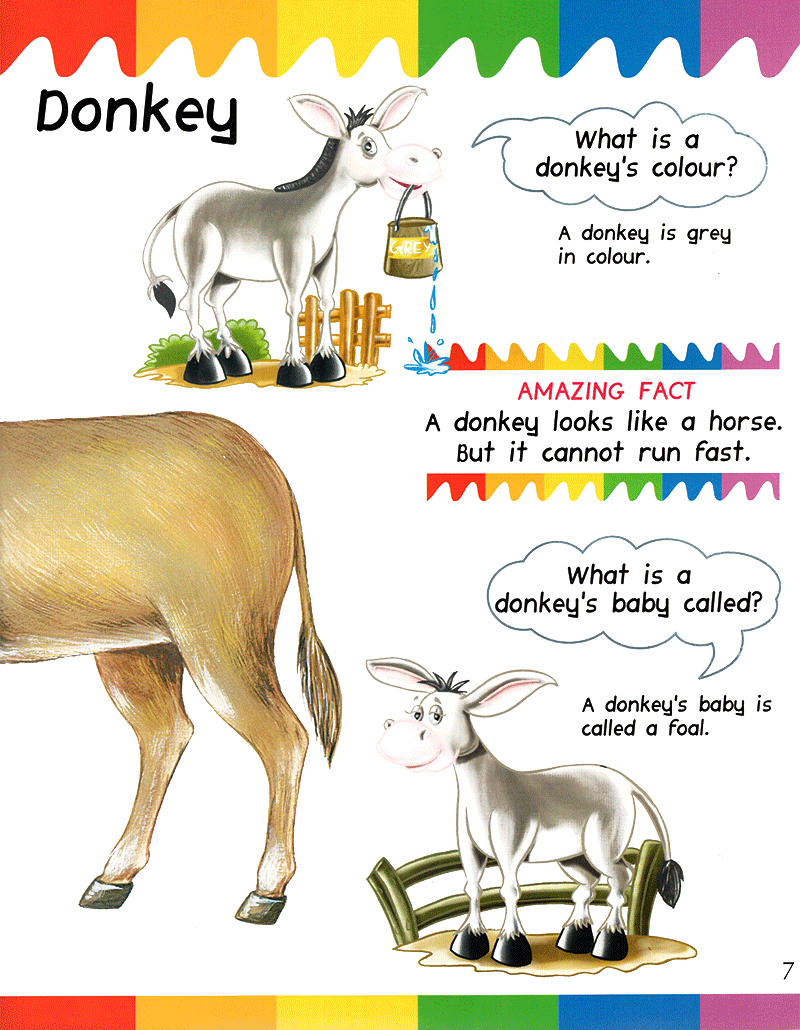 my first questions & answers - farm animals - Ảnh 16