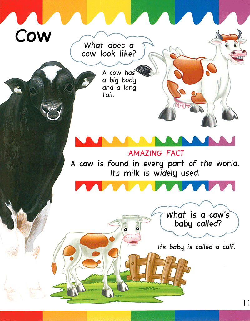 my first questions & answers - farm animals - Ảnh 20