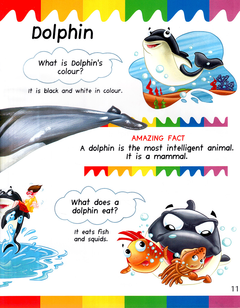 my first questions & answers - ocean - Ảnh 10