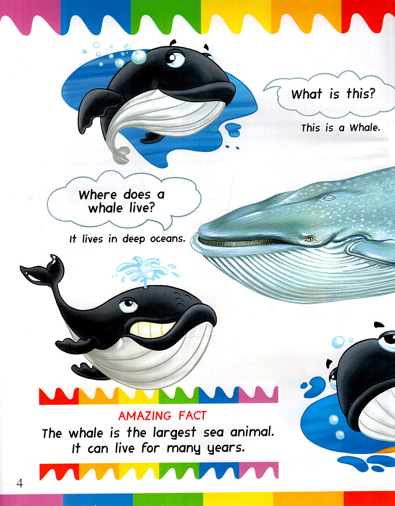 my first questions & answers - ocean - Ảnh 3