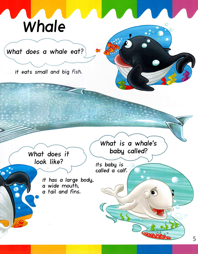 my first questions & answers - ocean - Ảnh 4