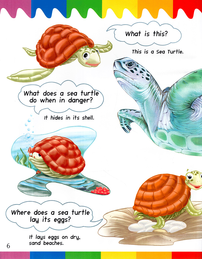 my first questions & answers - ocean - Ảnh 5