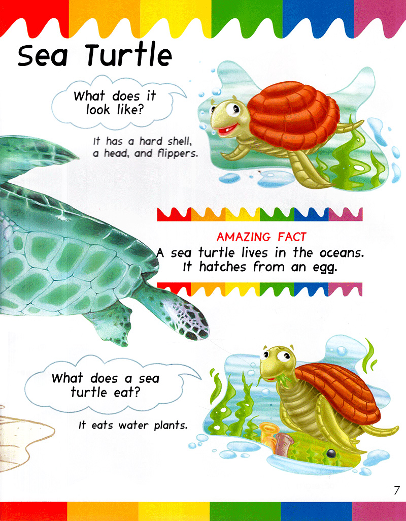 my first questions & answers - ocean - Ảnh 6