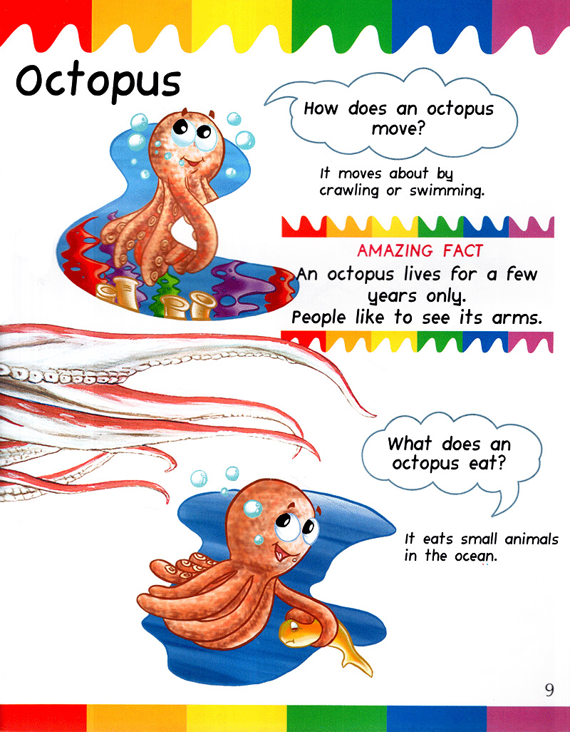 my first questions & answers - ocean - Ảnh 8