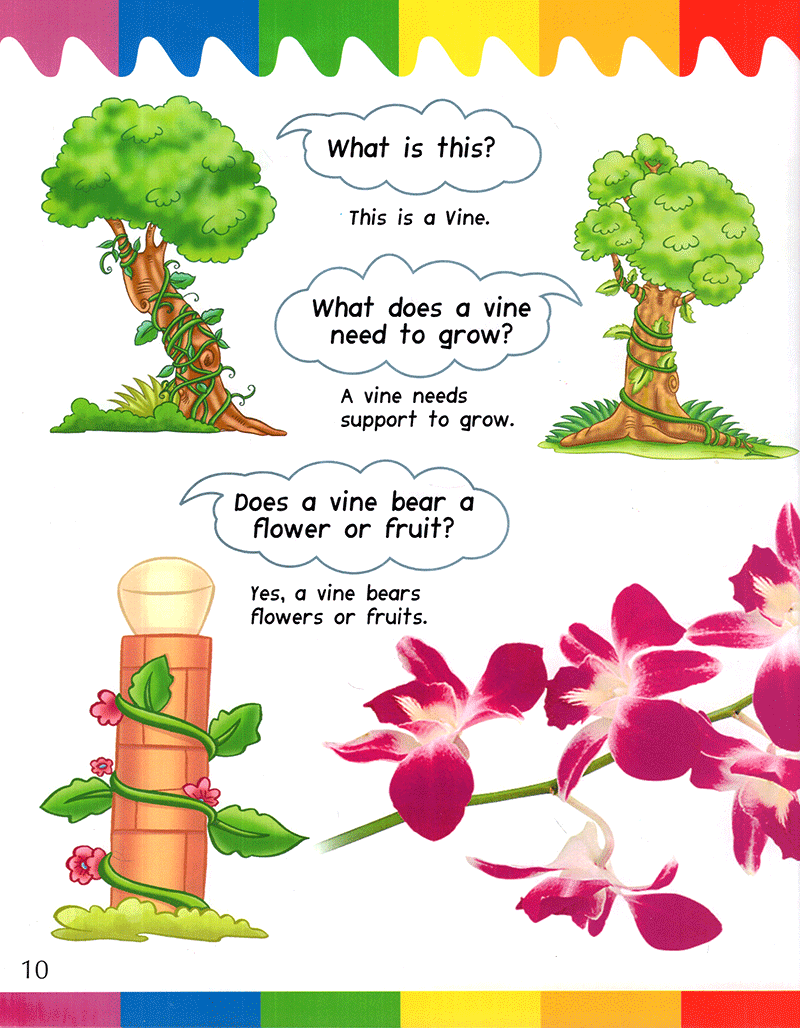 my first questions & answers - plants - Ảnh 10