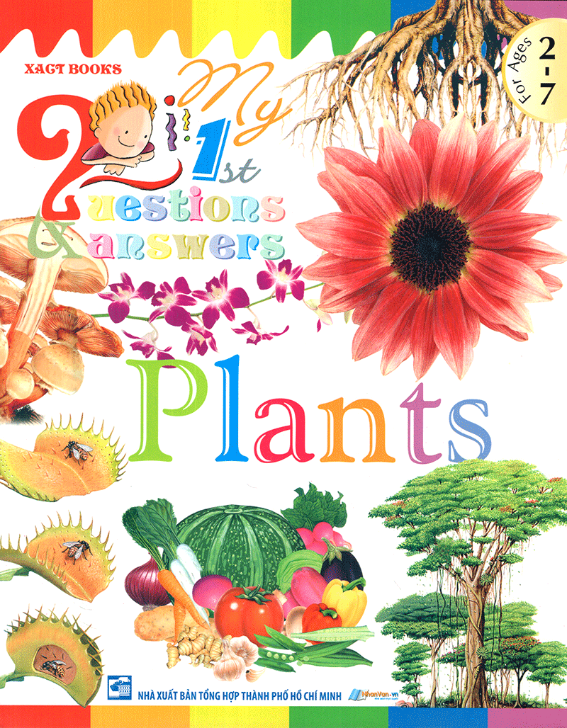 my first questions & answers - plants - Ảnh 2