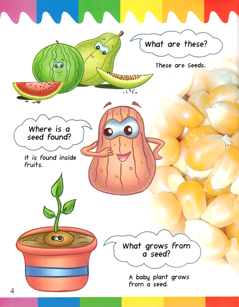 my first questions & answers - plants - Ảnh 4