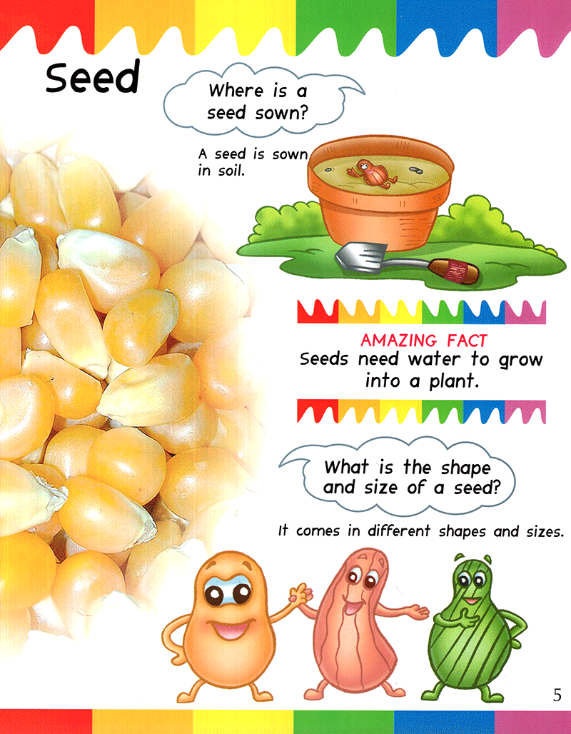my first questions & answers - plants - Ảnh 5