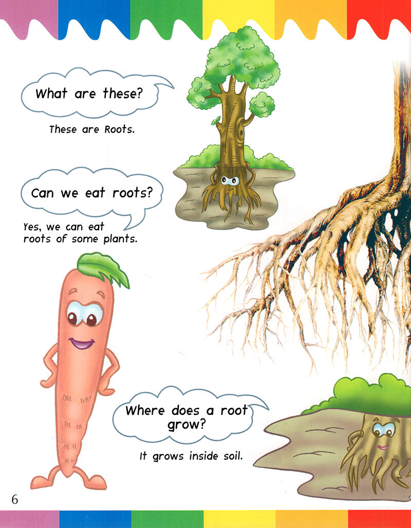 my first questions & answers - plants - Ảnh 6