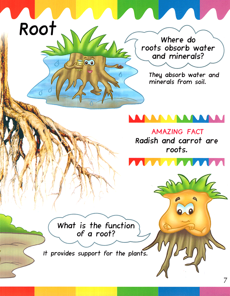 my first questions & answers - plants - Ảnh 7