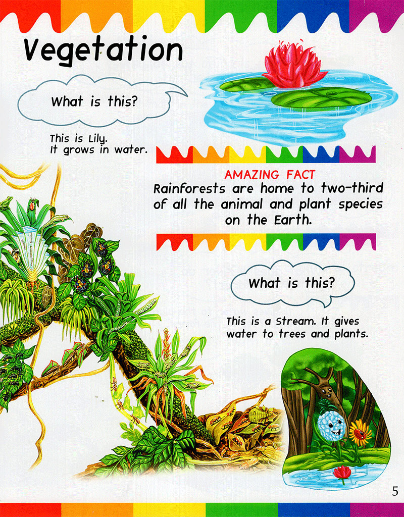 my first questions & answers - rainforest - Ảnh 4