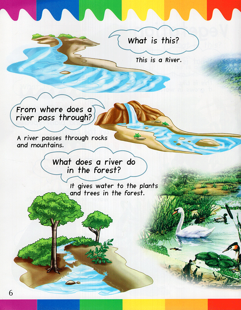 my first questions & answers - rainforest - Ảnh 5