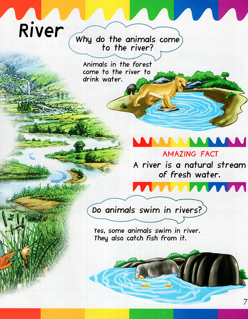 my first questions & answers - rainforest - Ảnh 6