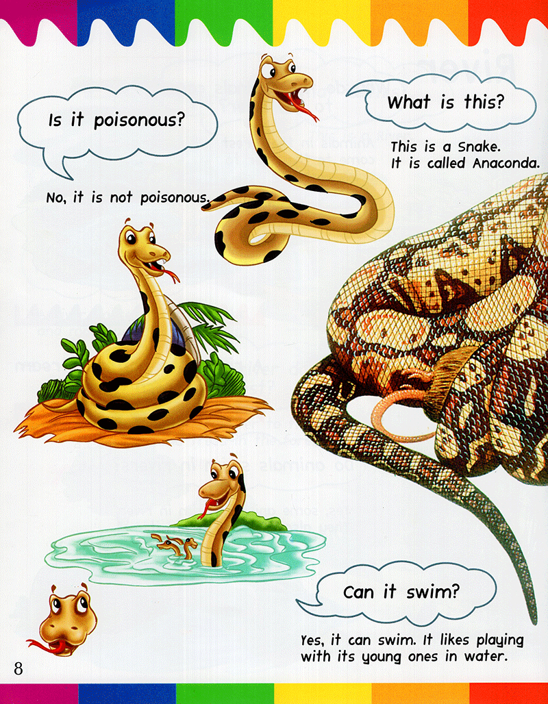 my first questions & answers - rainforest - Ảnh 7