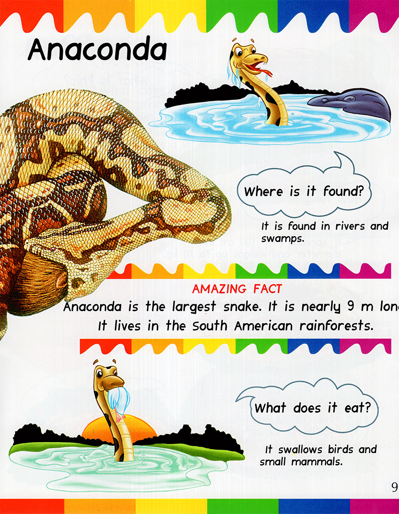 my first questions & answers - rainforest - Ảnh 8