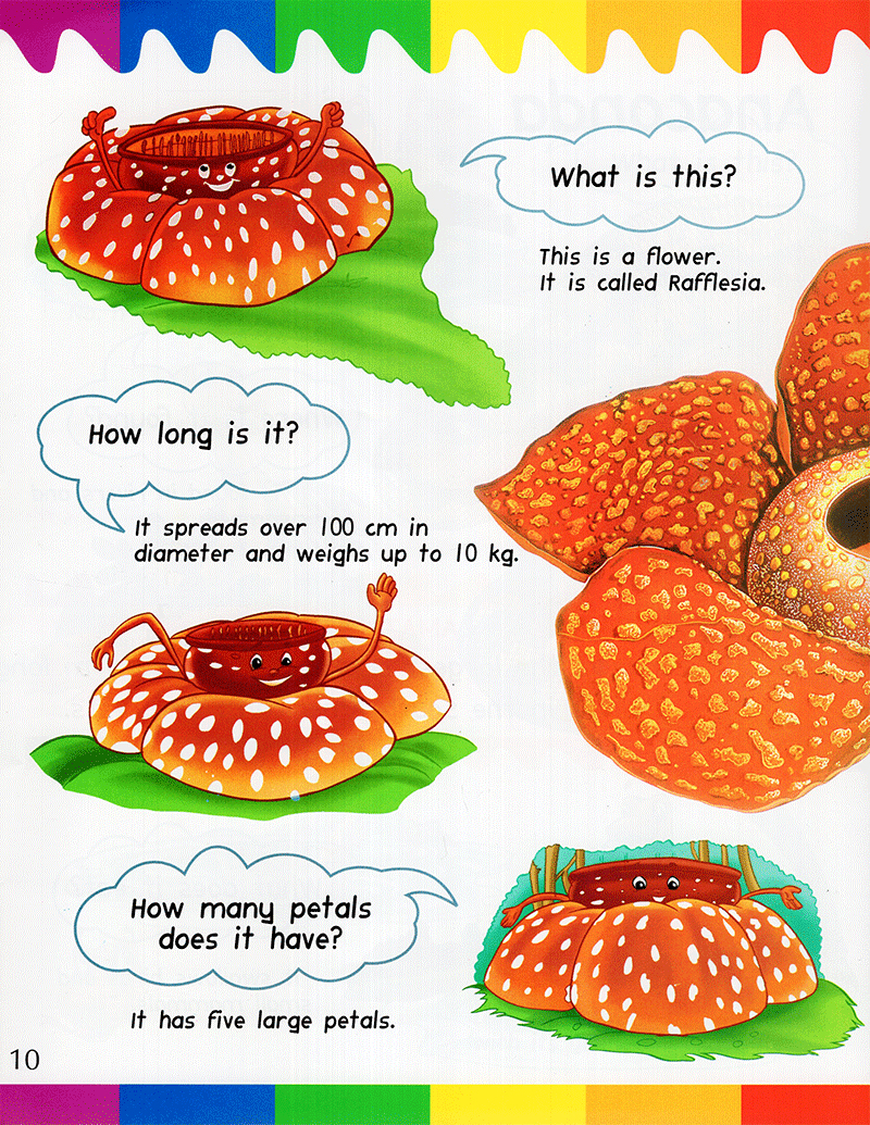 my first questions & answers - rainforest - Ảnh 9