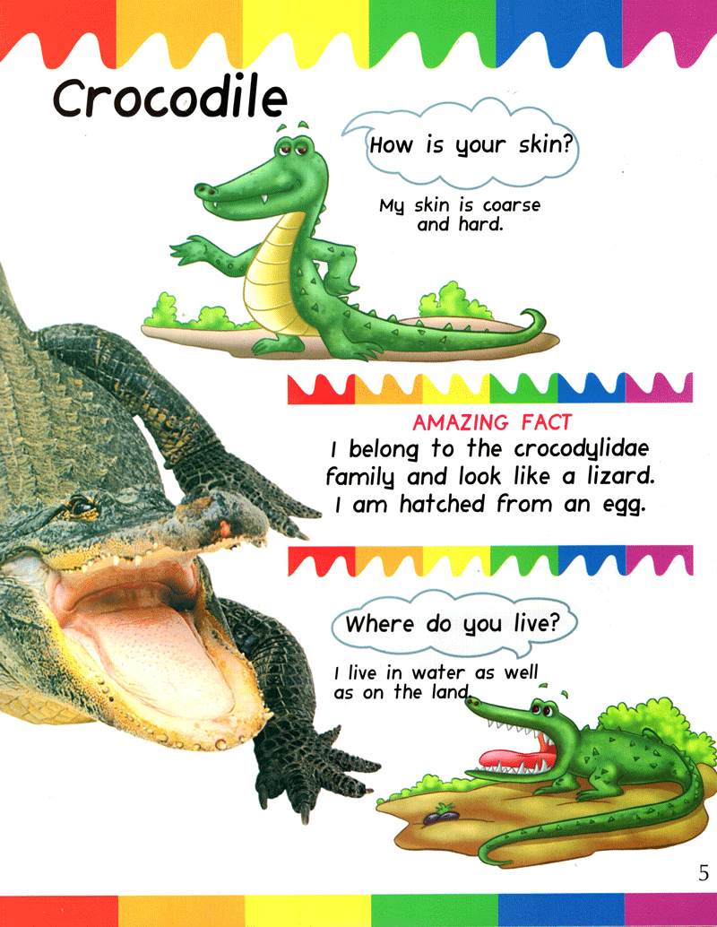 my first questions & answers - reptiles & amphibians - Ảnh 4